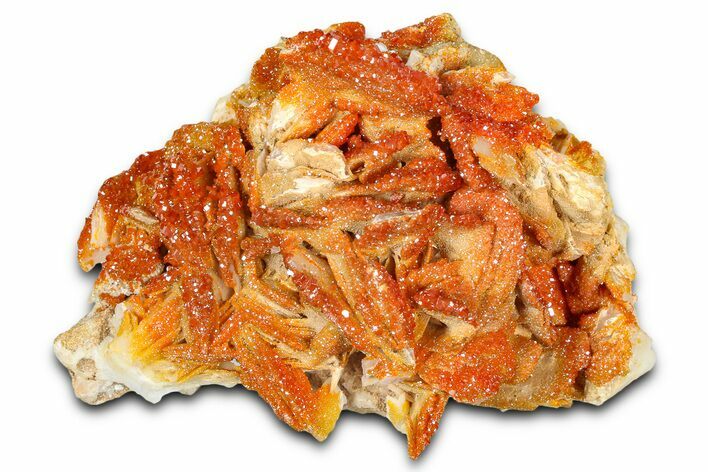 Glittering Ruby Red Vanadinite Crystals on Barite - Morocco #365768